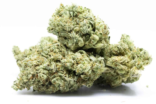 Purple Zlushie